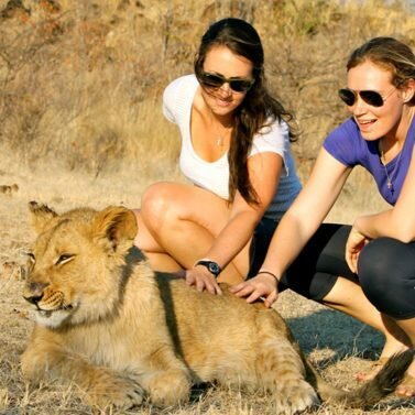 https://zambeziecoadventures.com/wp-content/uploads/2016/06/lion-walk-1-2-377x377-1-377x377.jpg